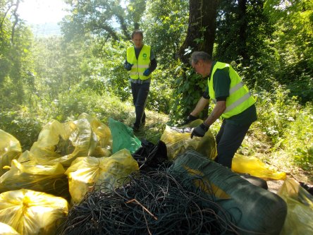 giormata ecologica ghisa 22maggio 2016 038