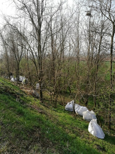 img_20170315_093158_1_resized_20170315_010242620