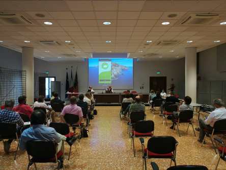 WhatsApp Image 2020-07-03 at 16.26.32